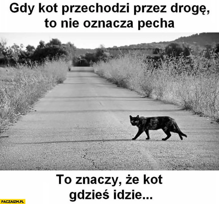 
    Gdy kot przechodzi przez drogę to nie oznacza pecha, to znaczy, że kot gdzieś idzie