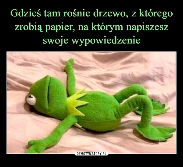 
    Gdzieś tam rośnie drzewo, z którego zrobią papier, na którym napiszesz swoje wypowiedzenie