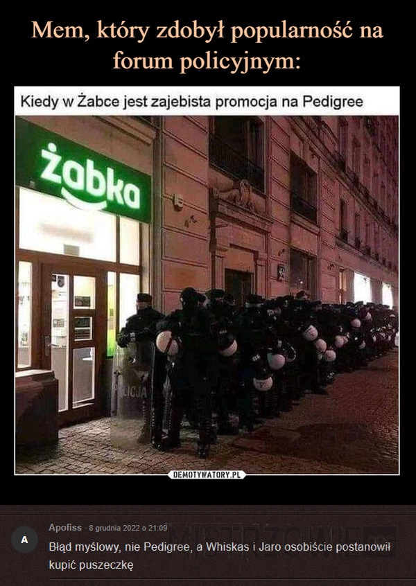 
    
			Promocja					