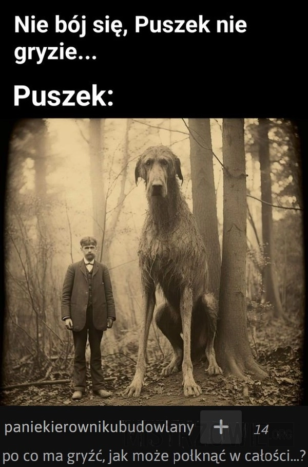 
    Puszek