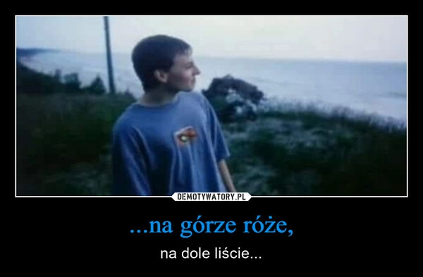 
    ...na górze róże,