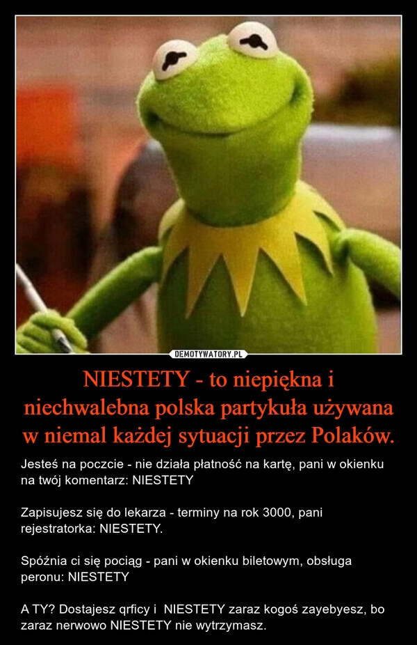 
    NIESTETY - to niepiękna i niechwalebna polska partykuła używana w niemal każdej sytuacji przez Polaków.