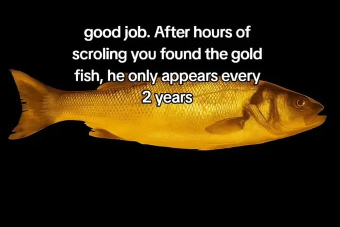 
    Good luck