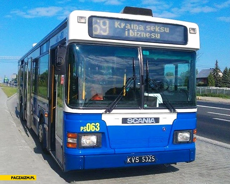 
    Kraina seksu i biznesu autobus