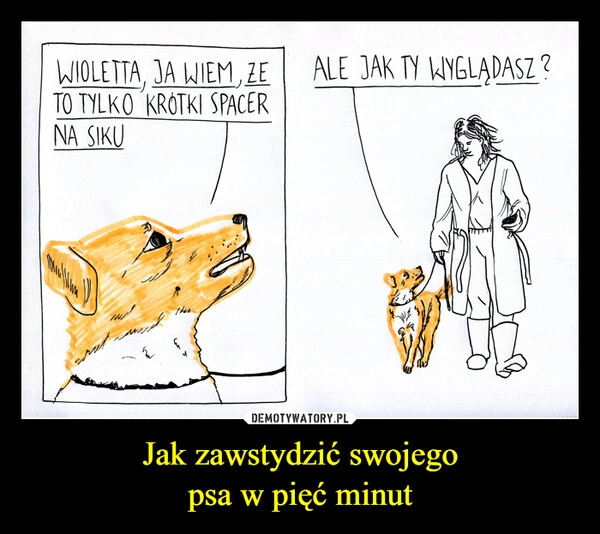 
    Jak zawstydzić swojego
psa w pięć minut