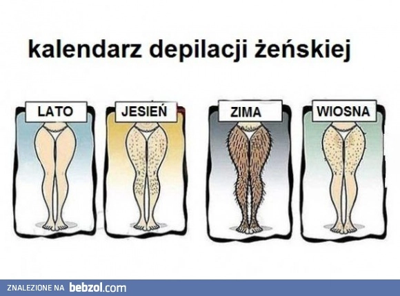 Kalendarz