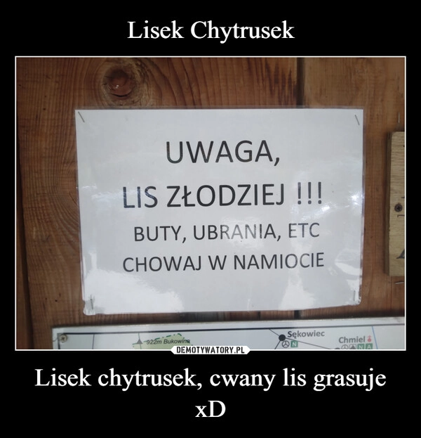 
    Lisek Chytrusek Lisek chytrusek, cwany lis grasuje xD