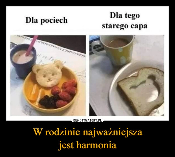 
    W rodzinie najważniejsza
jest harmonia