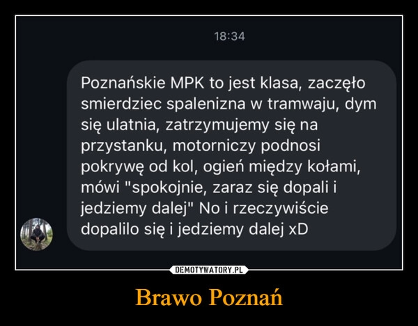 
    Brawo Poznań