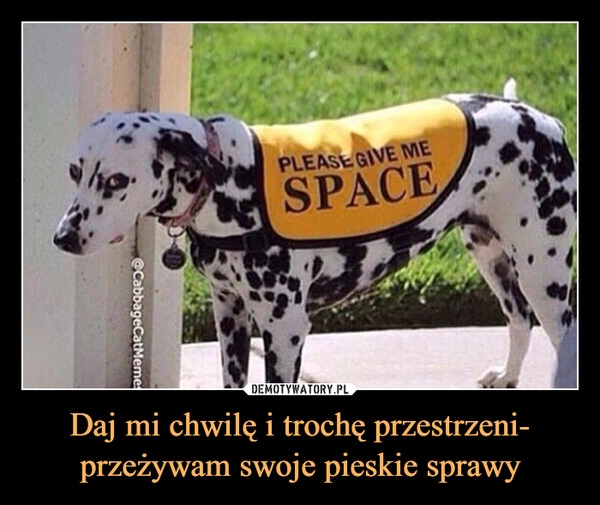 
    Daj mi chwilę i trochę przestrzeni- przeżywam swoje pieskie sprawy