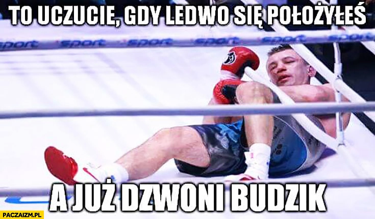 
    To uczucie gdy ledwo się położyłeś a już dzwoni budzik Adamek nokaut