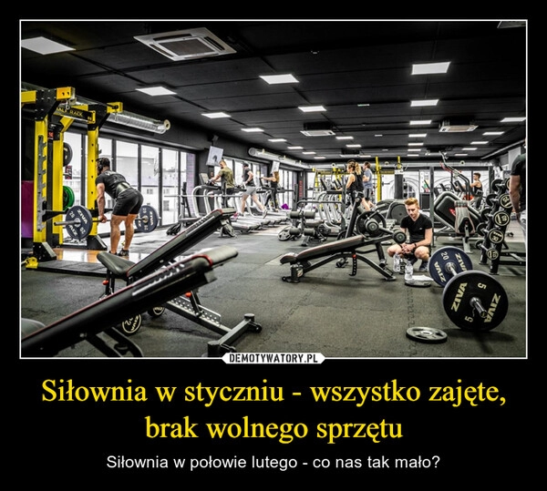 
    Siłownia w styczniu - wszystko zajęte, brak wolnego sprzętu