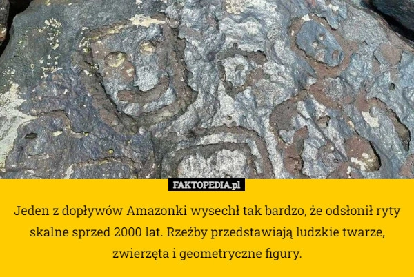 
    Jeden z dopływów Amazonki wysechł tak bardzo, że odsłonił ryty skalne sprzed