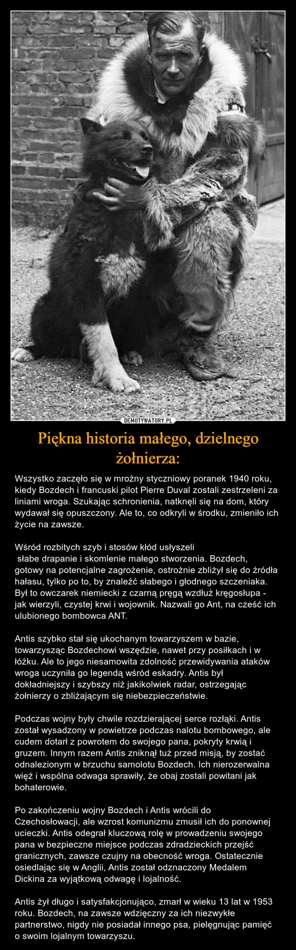 
    Piękna historia małego, dzielnego żołnierza: