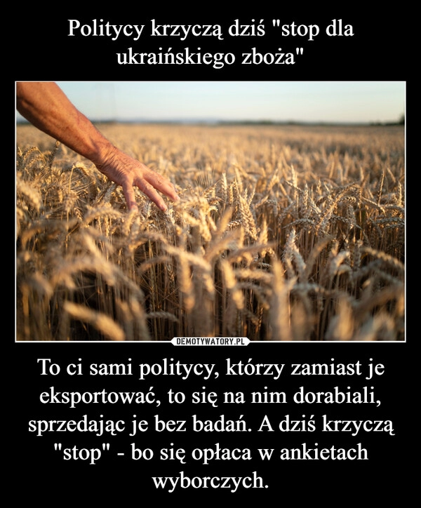 
    Politycy krzyczą dziś "stop dla ukraińskiego zboża" To ci sami politycy, którzy zamiast je eksportować, to się na nim dorabiali, sprzedając je bez badań. A dziś krzyczą "stop" - bo się opłaca w ankietach wyborczych.