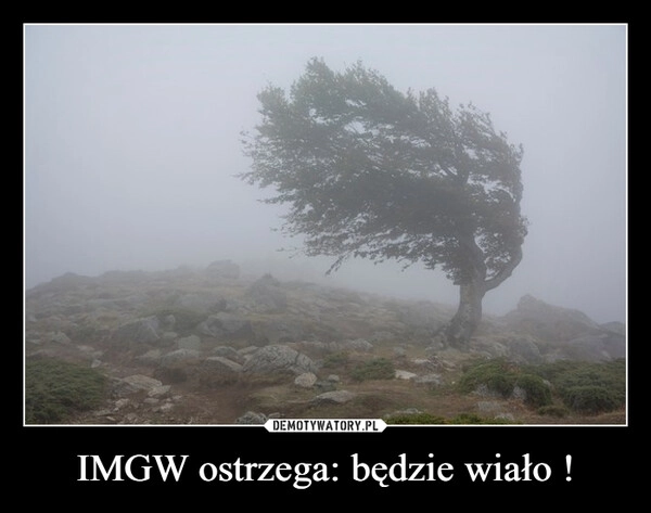 
    IMGW ostrzega: będzie wiało !