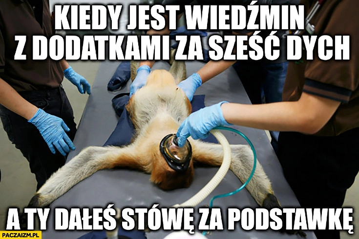 
    Kiedy jest Wiedźmin z dodatkami za sześć dych a Ty dałeś stówę za podstawkę wersję podstawową typowy Polak nosacz małpa reanimacja