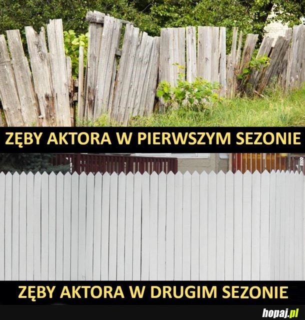 
    Uzębienie aktorów