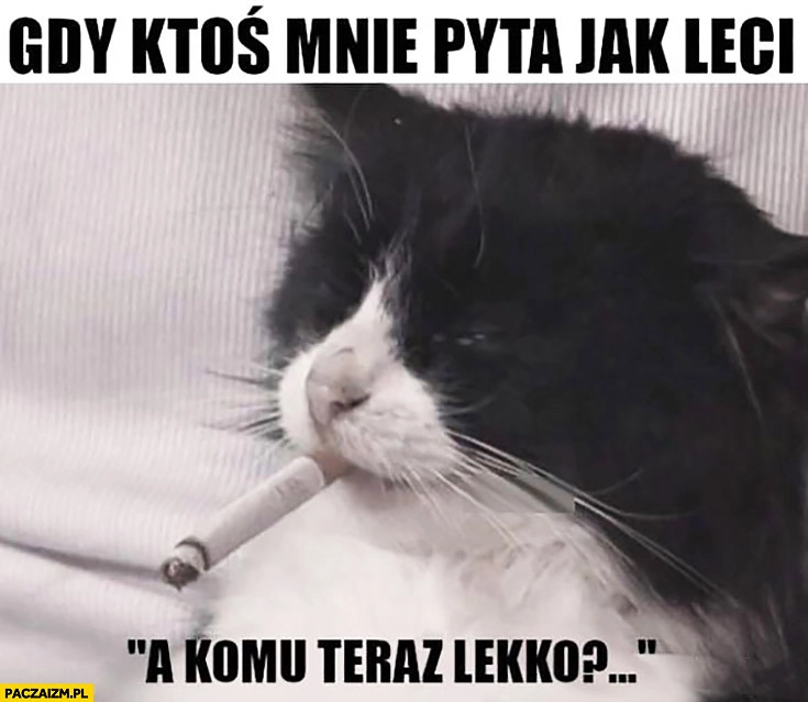 
    Gdy ktoś mnie pyta jak leci a komu teraz lekko kot z papierosem
