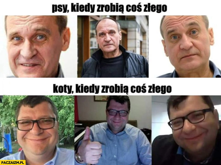 
    Kukiz psy kiedy zrobią coś złego, Stonoga koty kiedy zrobią coś złego