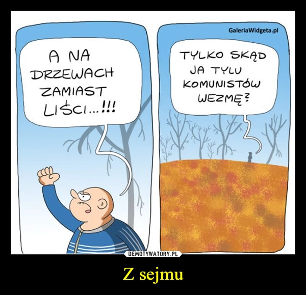 
    Z sejmu