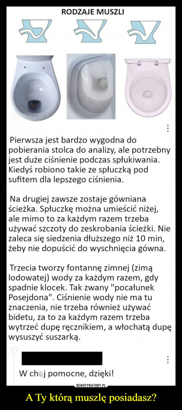 
    A Ty którą muszlę posiadasz?