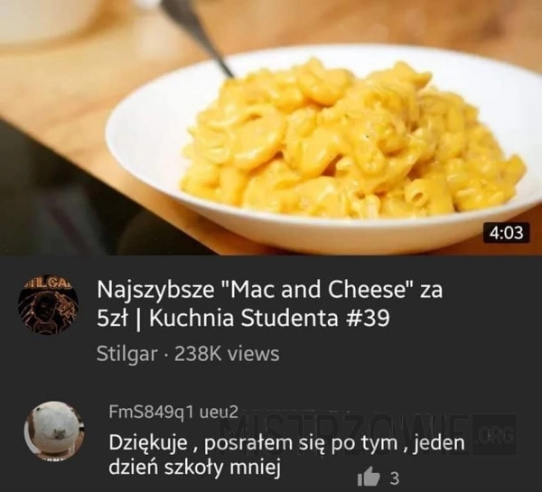 
    5 zł