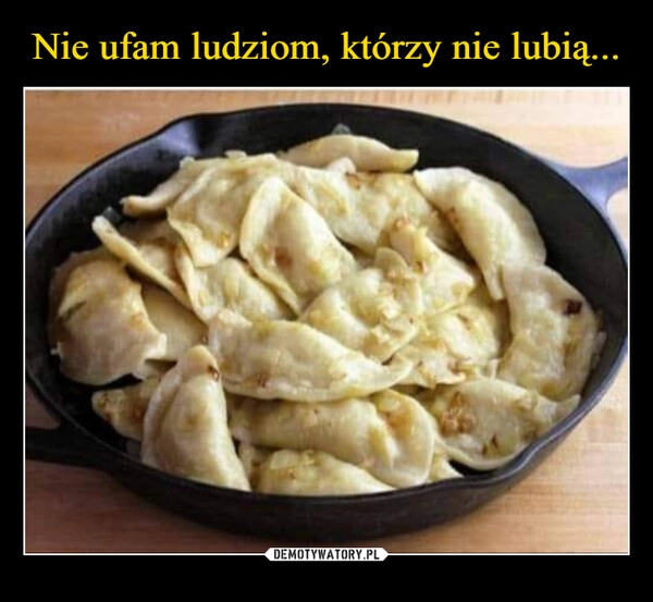 
    Nie ufam ludziom, którzy nie lubią...