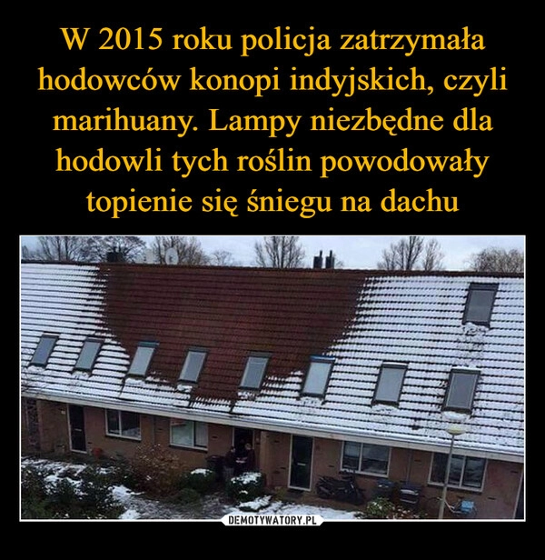 
    W 2015 roku policja zatrzymała hodowców konopi indyjskich, czyli marihuany. Lampy niezbędne dla hodowli tych roślin powodowały topienie się śniegu na dachu