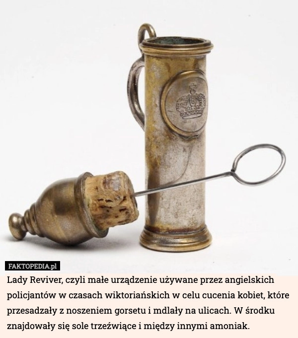 
    Lady Reviver, czyli małe urządzenie używane przez angielskich policjantów