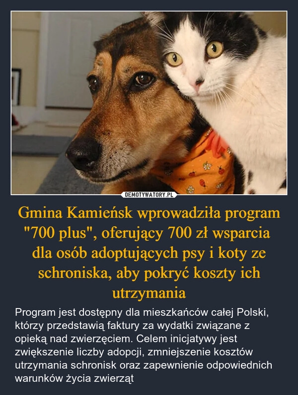 
    Gmina Kamieńsk wprowadziła program "700 plus", oferujący 700 zł wsparcia 
dla osób adoptujących psy i koty ze schroniska, aby pokryć koszty ich utrzymania