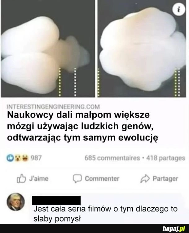 
    Nic się nie uczymy na filmach