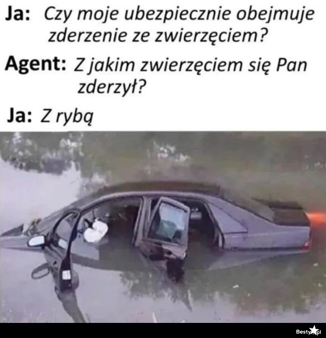 
    Ubezpieczenie 