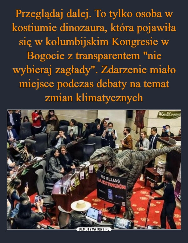 
    Przeglądaj dalej. To tylko osoba w kostiumie dinozaura, która pojawiła się w kolumbijskim Kongresie w Bogocie z transparentem "nie wybieraj zagłady". Zdarzenie miało miejsce podczas debaty na temat zmian klimatycznych