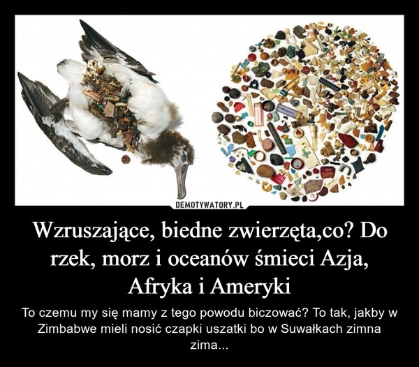 
    Wzruszające, biedne zwierzęta,co? Do rzek, morz i oceanów śmieci Azja, Afryka i Ameryki