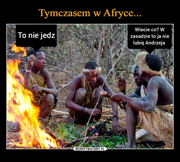 
    Tymczasem w Afryce...