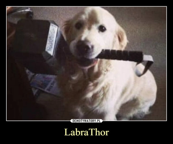 
    LabraThor