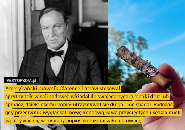 
    Amerykański prawnik Clarence Darrow stosował
sprytny trik w sali sądowej: