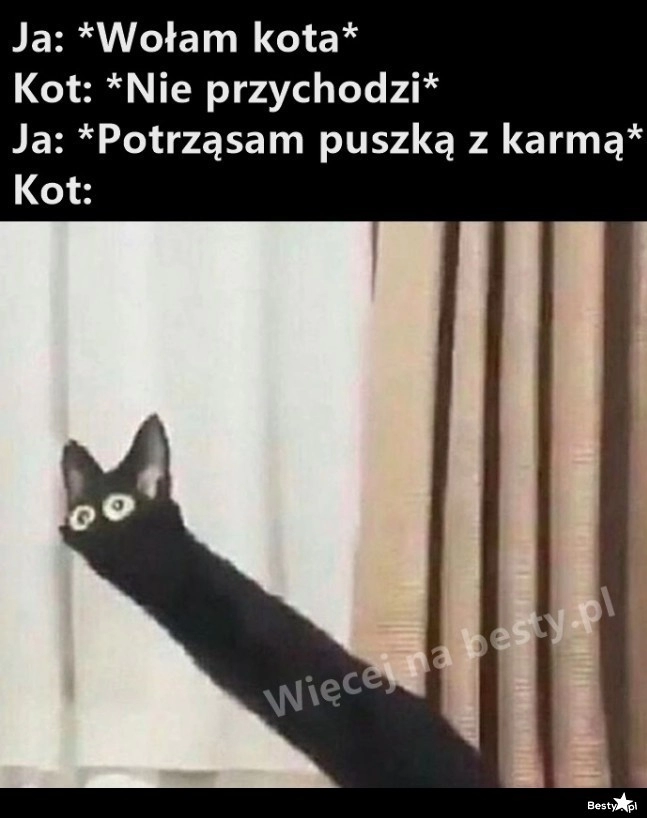 
    Zawsze działa 