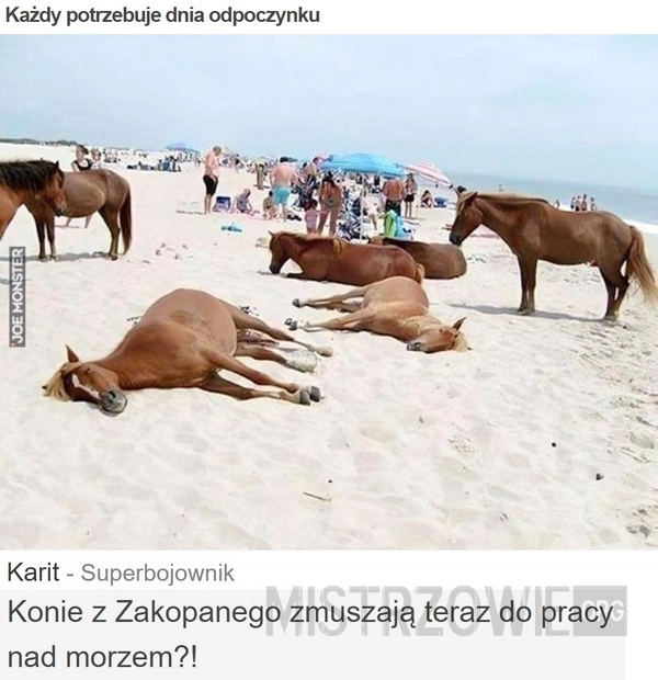 
    Każdy potrzebuje dnia odpoczynku