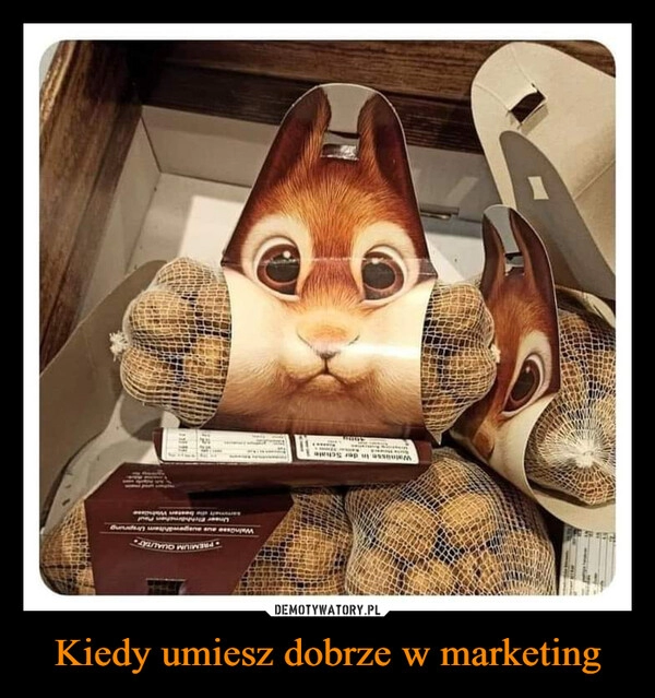 
    Kiedy umiesz dobrze w marketing