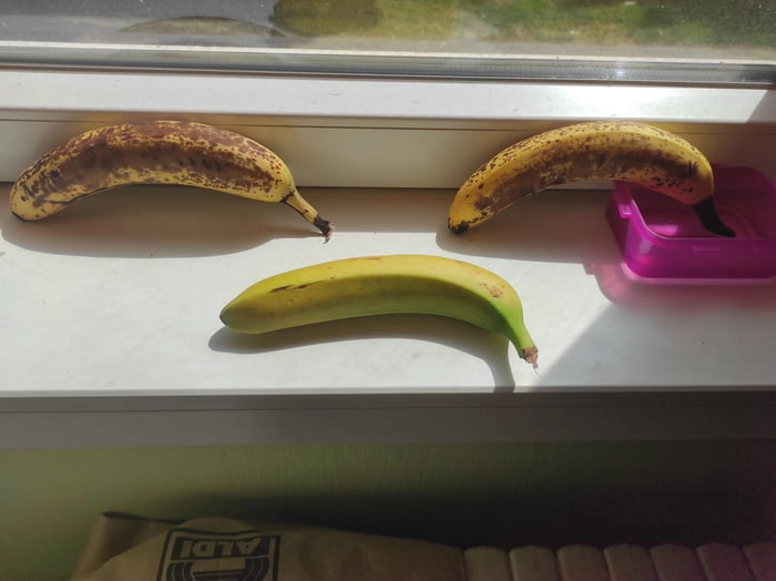 
    Day 6! Right one looks a little bit better but i think she was it from the begining. (Banana for scale)