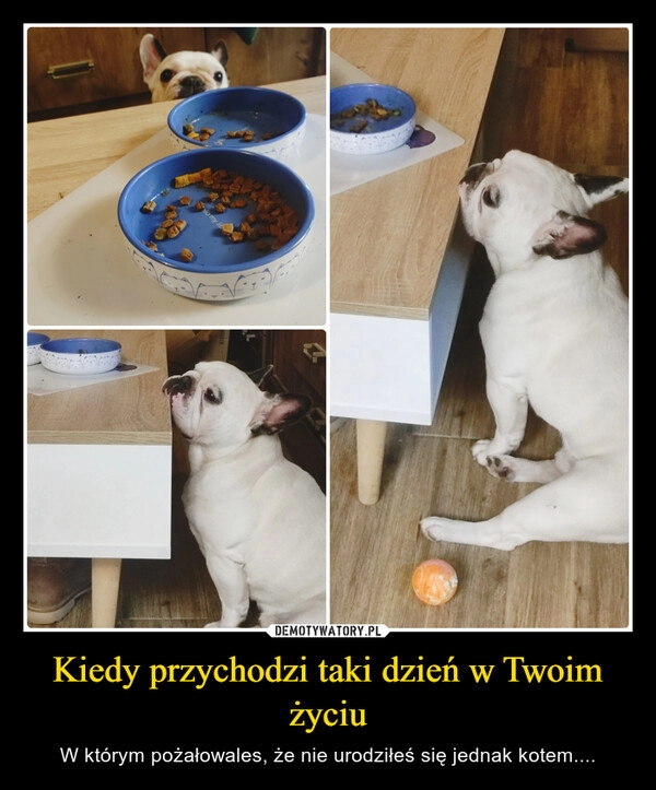 
    Kiedy przychodzi taki dzień w Twoim życiu