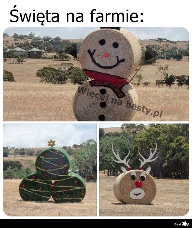 
    Święta na farmie 