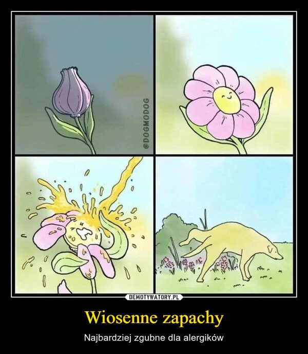 
    Wiosenne zapachy