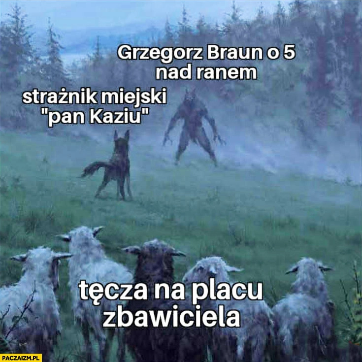 
    Grzegorz Braun o 5 nad ranem strażnik miejski pan Kaziu tęcza na placu zbawiciela owce owieczki
