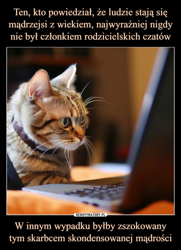 
    Ten, kto powiedział, że ludzie stają się mądrzejsi z wiekiem, najwyraźniej nigdy nie był członkiem rodzicielskich czatów W innym wypadku byłby zszokowany tym skarbcem skondensowanej mądrości