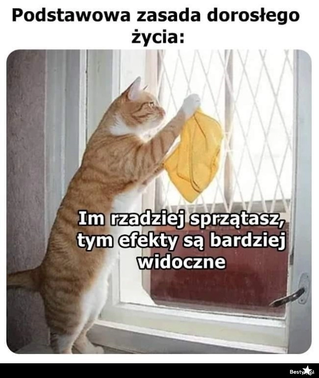 
    Co za różnica 