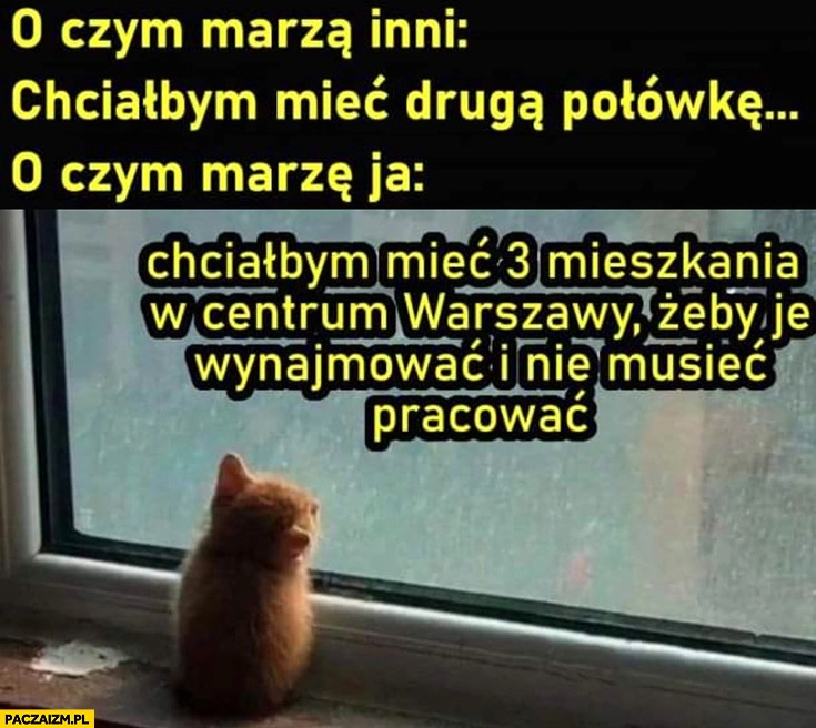 
    O czym marzą inni vs o czym marzę ja chciałbym mieć 3 mieszkania w centrum Warszawy żeby je wynajmować i nie musieć pracować kot kotek