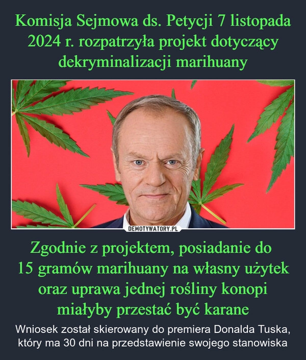 
    Komisja Sejmowa ds. Petycji 7 listopada 2024 r. rozpatrzyła projekt dotyczący dekryminalizacji marihuany Zgodnie z projektem, posiadanie do 
15 gramów marihuany na własny użytek oraz uprawa jednej rośliny konopi miałyby przestać być karane